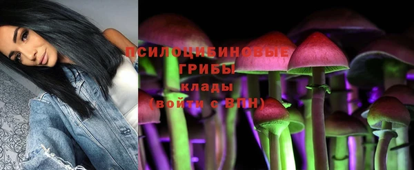 прущая мука Алексеевка
