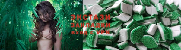 гидра Абаза