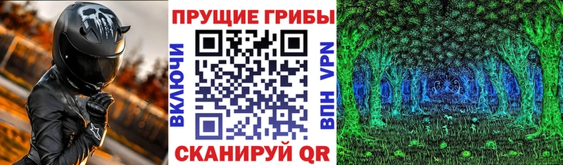 Псилоцибиновые грибы ЛСД  купить наркотик  Гаджиево 